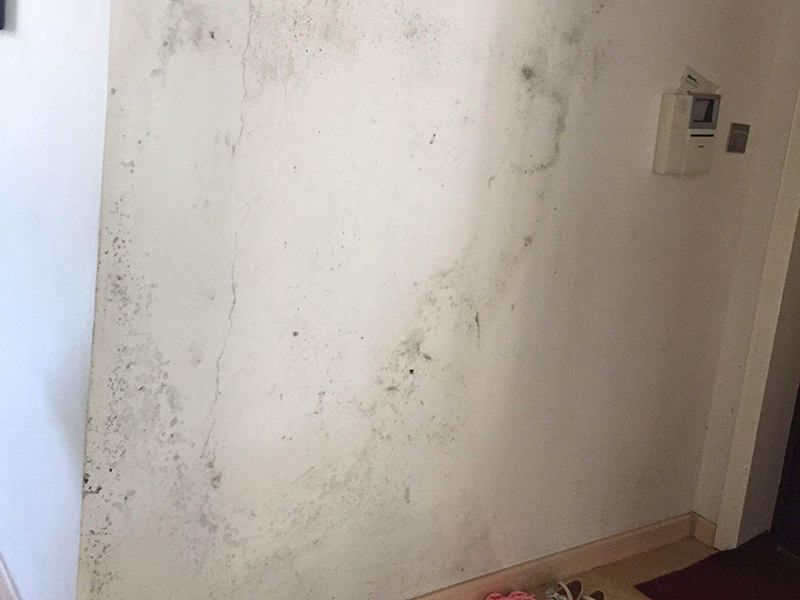 發(fā)霉的墻面可以直接涂乳膠漆嗎？墻面發(fā)霉翻新后如何保養(yǎng)？(圖4)
